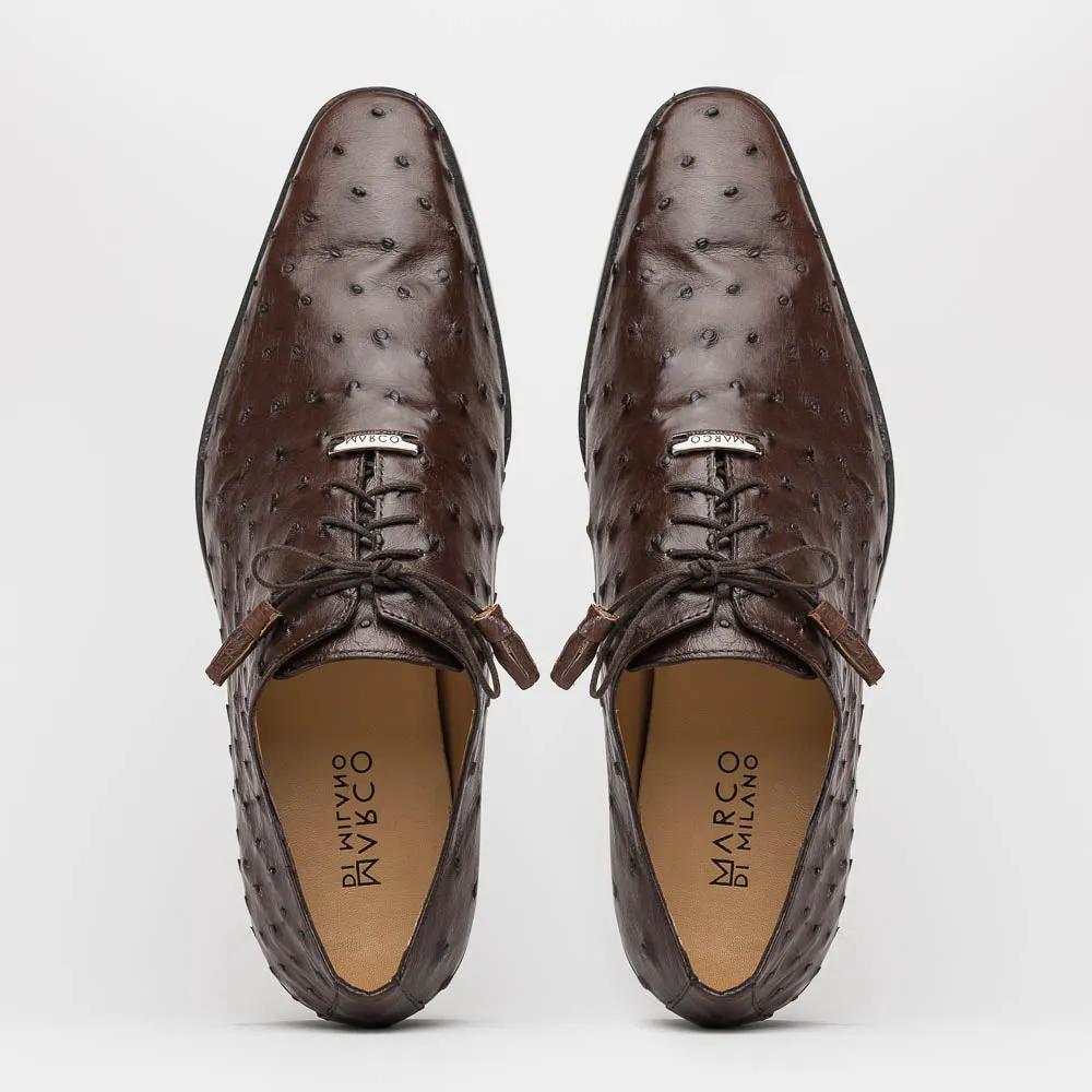 Marco Di Milano Criss Brown Ostrich Quill Dress Shoe Oxfords