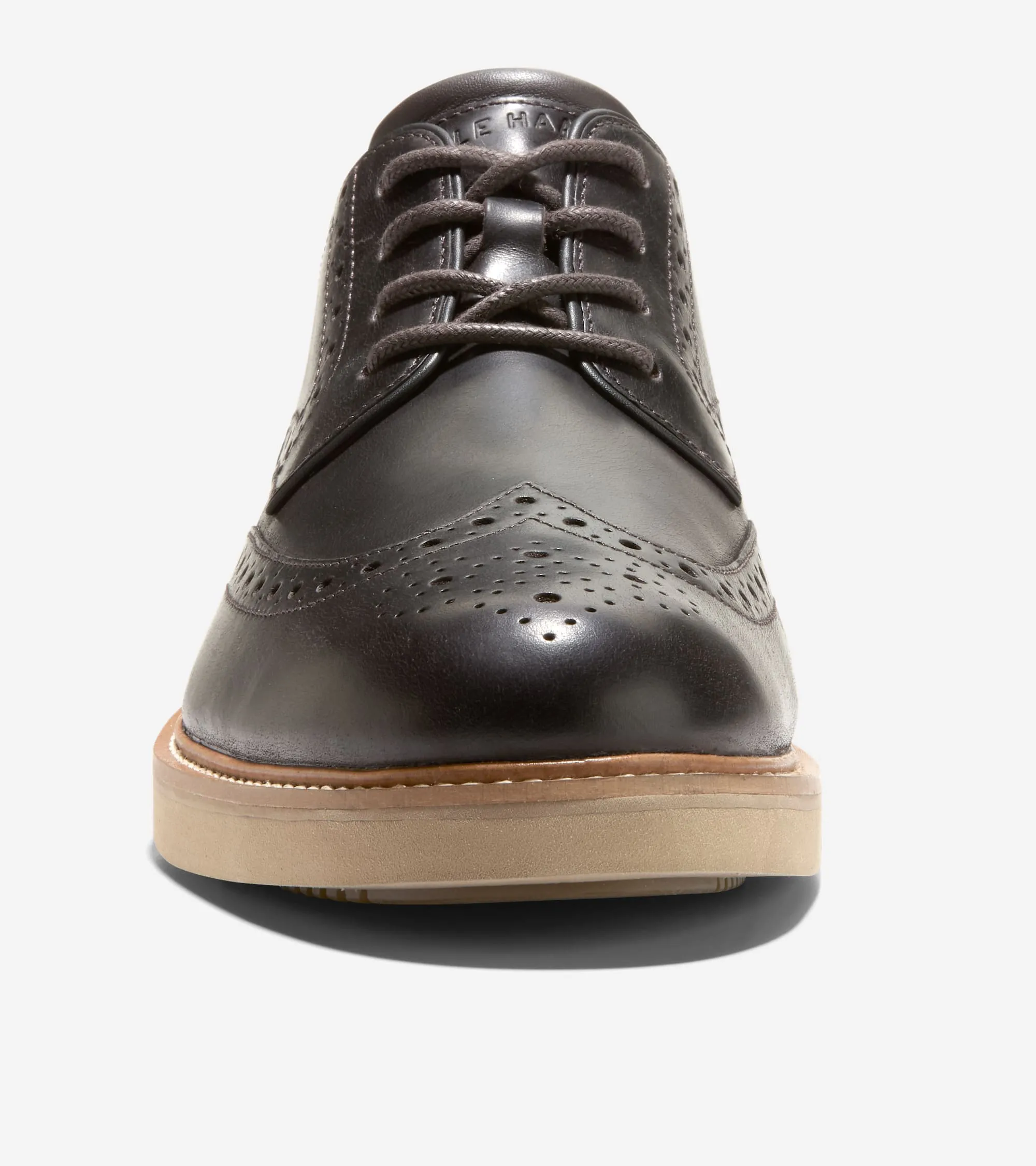 Men's American Classics Montrose Wingtip Oxfords