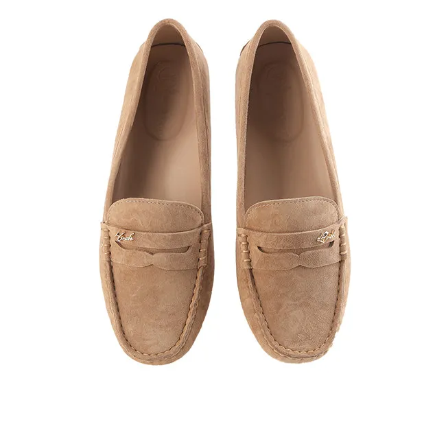 Whitney In Camel