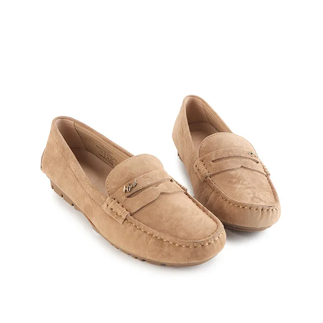 Whitney In Camel